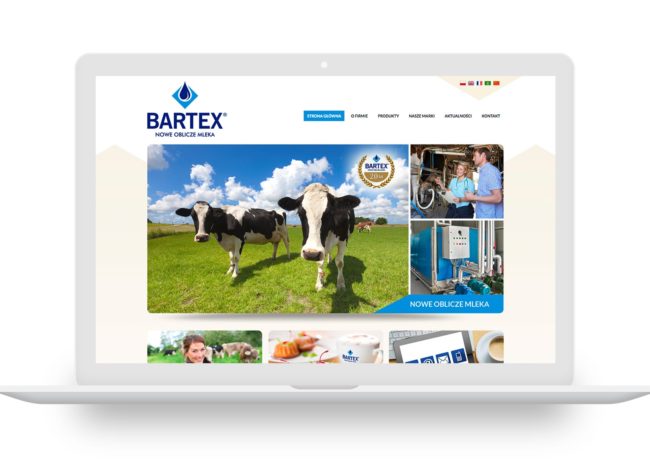 Bartex Pasłęk projektowanie stron internetowych tworzenie nowoczesnych i responsywnych stron www Dąbrowa Górnicza, Sosnowiec, Katowice, Warszawa, Kraków, Gdańsk, Wrocław, Agencja brandingowa Moweli Creative