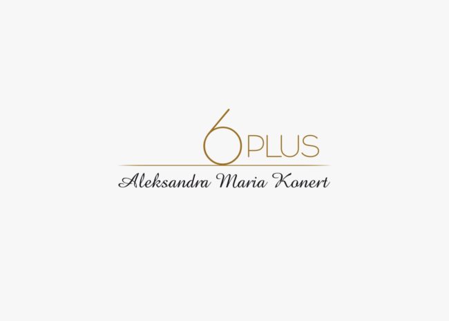 6 Plus projektowanie logo firmowych ksiegi znaku Agencja brandingowa Moweli Creative Dabrowa Górnicza Kraków Warszawa