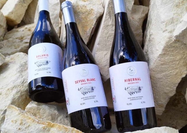 Etykiety na wino Winnica Sielanka Poręba Laskowska - projektowanie etykiet - Agencja brandingowa Moweli Creative